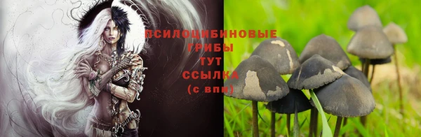 стафф Абинск