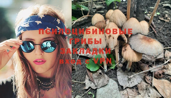 стафф Абинск
